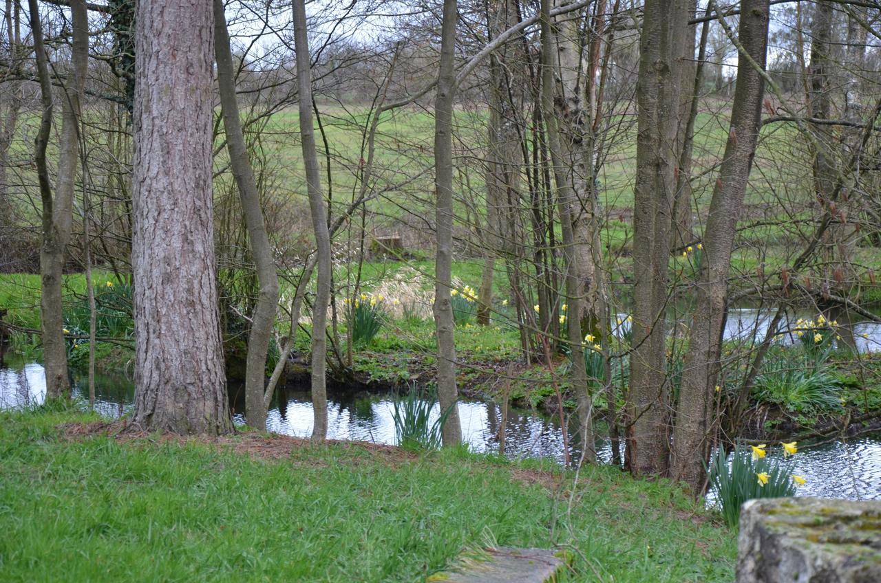 La Pommeraie-sur-Sèvre Le Moulin De Charin Bed & Breakfast エクステリア 写真