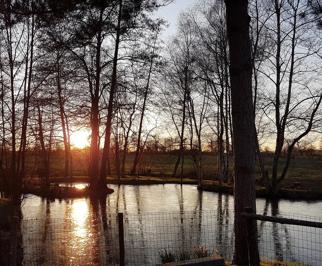 La Pommeraie-sur-Sèvre Le Moulin De Charin Bed & Breakfast エクステリア 写真