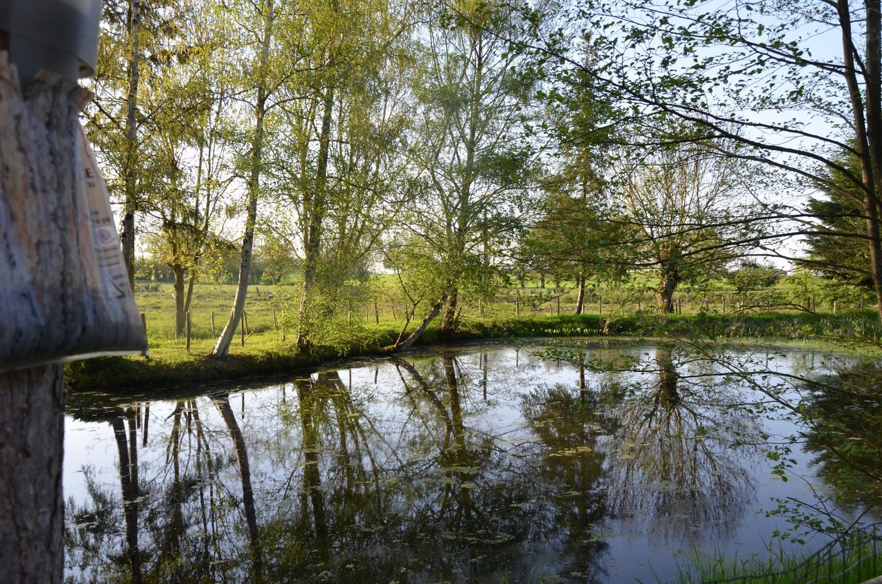 La Pommeraie-sur-Sèvre Le Moulin De Charin Bed & Breakfast エクステリア 写真
