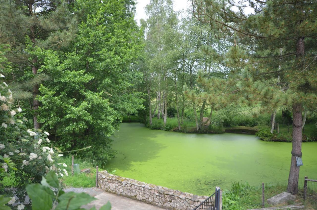 La Pommeraie-sur-Sèvre Le Moulin De Charin Bed & Breakfast エクステリア 写真